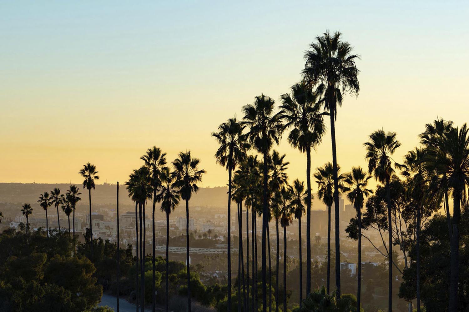 Sundial Bridge with Visitors in Redding California